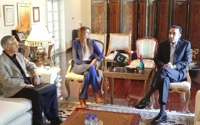 چیئرمین بلاول بھٹو سے برطانیہ کی ہائی کمشنر جین میریٹ کی ملاقات