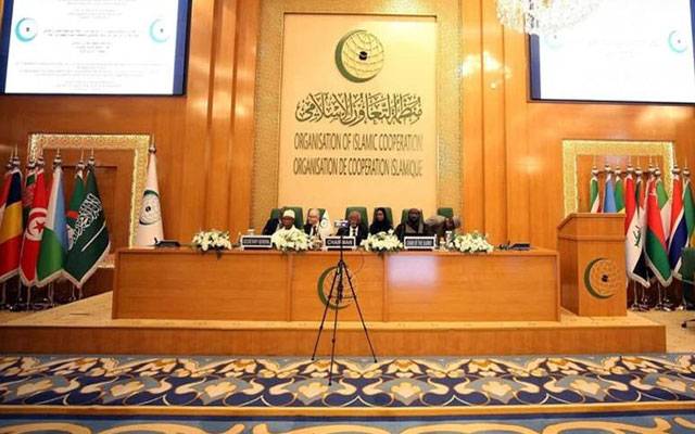 اسلامی تعاون تنظیم نے عرب منصوبے کے تحت غزہ کی تعمیر نو کی حمایت کر دی
