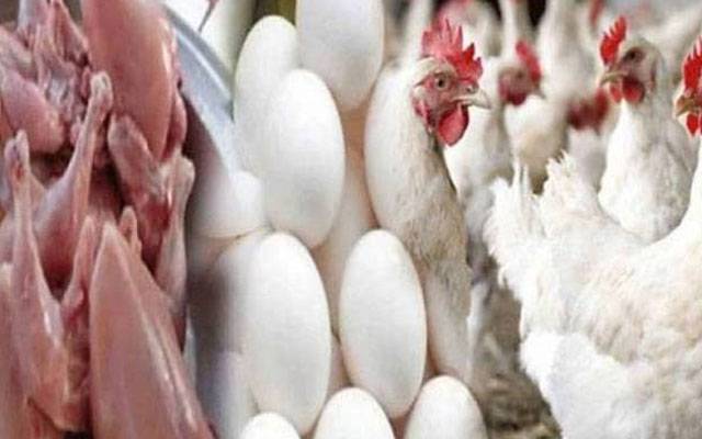  برائلر مرغی کی قیمتوں کو پر لگ گئے، چکن مزید مہنگا ہوگیا