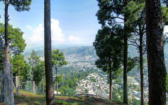 ابیٹ آباد ؛ بے قابو سکول وین کھائی میں جاگری