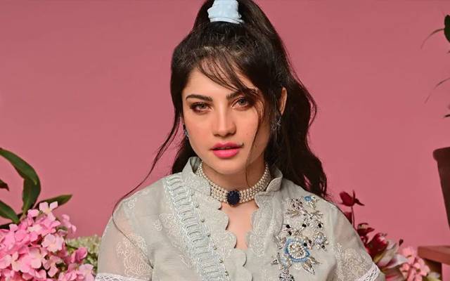 اداکارہ نیلم منیر نے اپنی خوشی مداحوں کیساتھ شیئر کردی