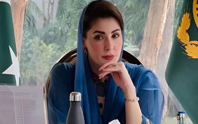 مریم نواز کا سپشل بچوں کےلیے ہیلتھ سکرینگ،روزگار پروگرام ،الیکٹرک گاڑیاں سمیت کئی اقدامات