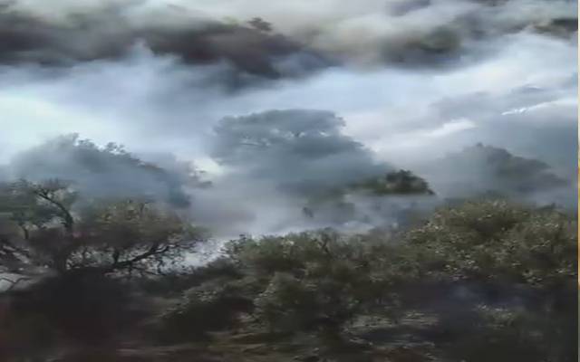  زیارت کے علاقے ڈومیارہ کے جنگلات میں خطرناک آگ بھڑک اٹھی
