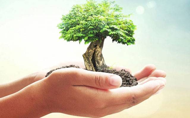 جنگلات کا عالمی دن؛ تیاریاں عروج پر، شجر کاری کی میگا مہم کل سے شروع ہوگی