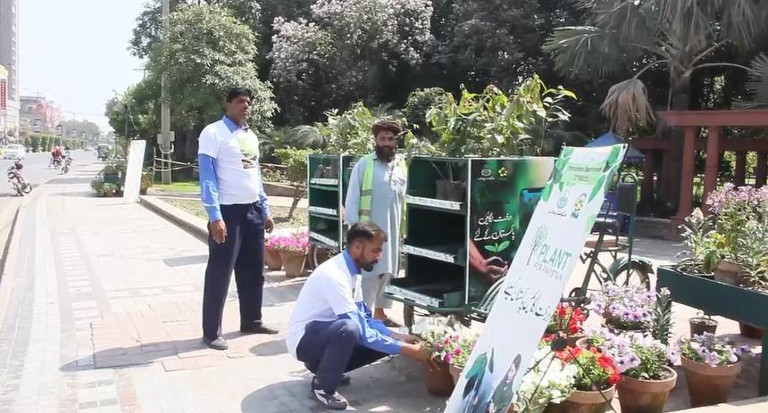 پی ایچ اے کے لاہور کے 20 مقامات پر مفت پودے تقسیم 