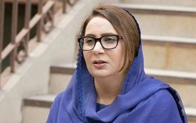 وہ دن دور نہیں جب معیشت سے کاسمیٹکس کا لیپ اترجائے گا ‘ مسرت جمشید چیمہ