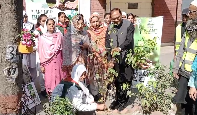 Tree Plantation Campaign, Government Graduate College Baghbanpura, City42, Environment's protection 