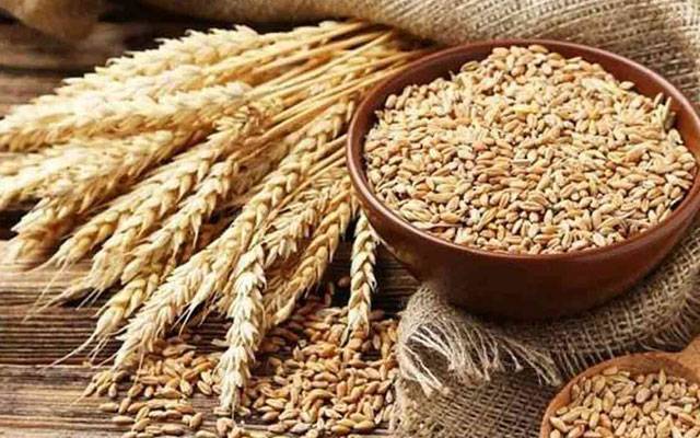 پنجاب؛ سرکاری گندم کا نرخ 2900 روپے فی من مقرر