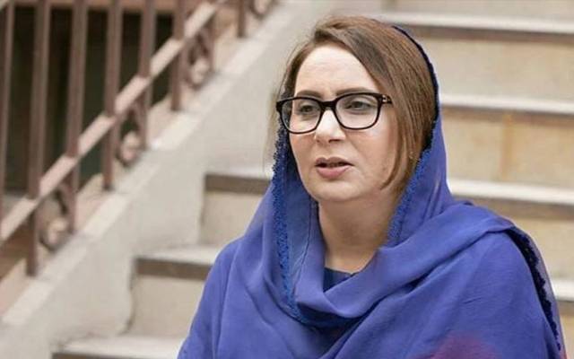 قومی سطح کے فیصلوں میں پائیدار استحکام کیسے ممکن؟ مسرت جمشید چیمہ کا اہم بیان
