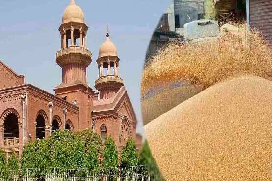 ہائیکورٹ نے گندم کی قیمت مقرر ہونے کے باعث درخواست غیر موثر قرار دے کر نمٹادی