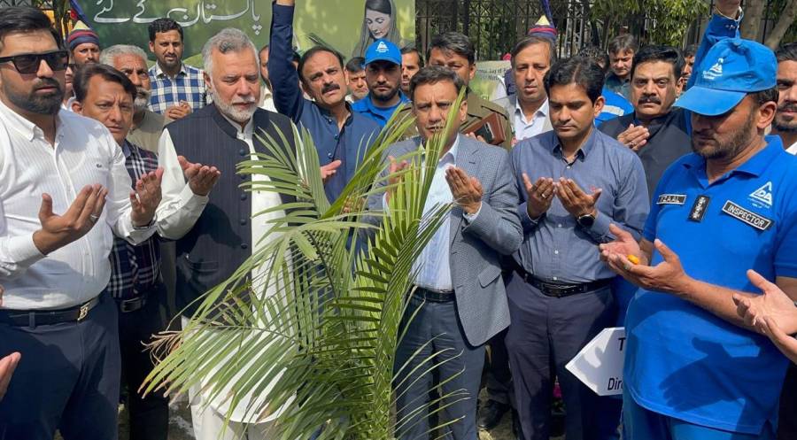 وائس چیئرمین ایل ڈی اے میاں مرغوب نے ٹاؤن شپ آفس میں پودا لگایا 
