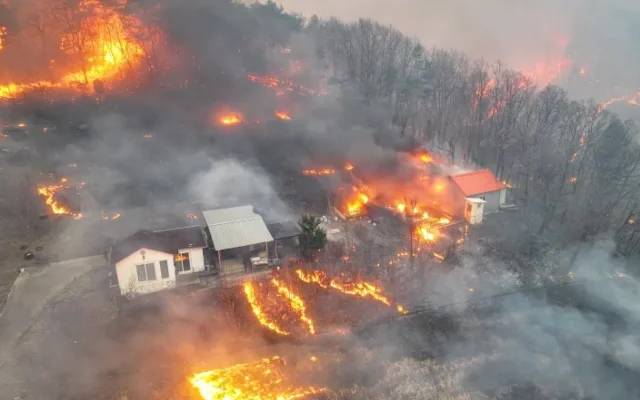 جنوبی کوریا کے جنگلات میں آگ لگنے سے 19 افراد ہلاک 