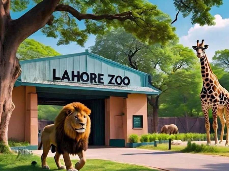 لاہور: عید پر سفاری زو اور چڑیا گھروں کے عملے کی چھٹیاں منسوخ