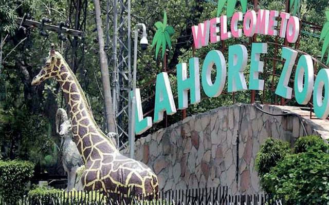 عید کا دوسرا روز، چڑیا گھر کی ٹکٹ تین گنا مہنگی 