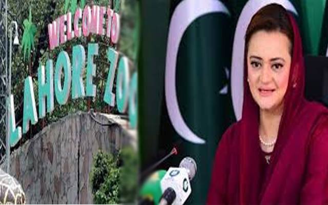 چڑیا گھر کی مہنگی ٹکٹ کا نوٹس؛ 100 روپے میں پورا چڑیا گھر دیکھ سکتے ہیں ؛ مریم اورنگزیب
