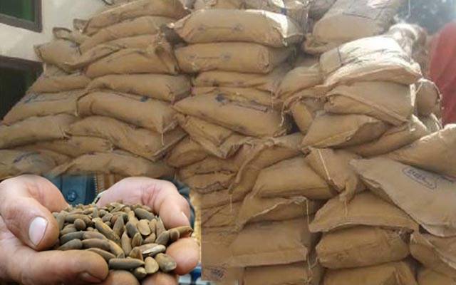  اکبری منڈی: سمگل شدہ چلغوزے برآمد، 67 تاجروں کیخلاف بڑافیصلہ 