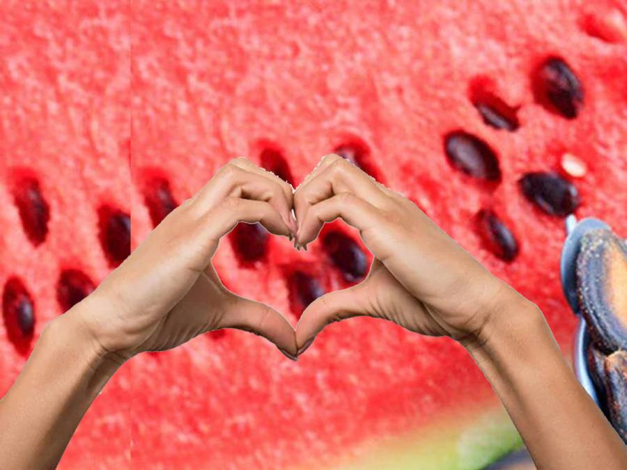 Watermelon price, Whole Sale market fruit price, Lahore fruit prices, Deputy Commissioner Lahore, Consumer price of the fruit,City42 
