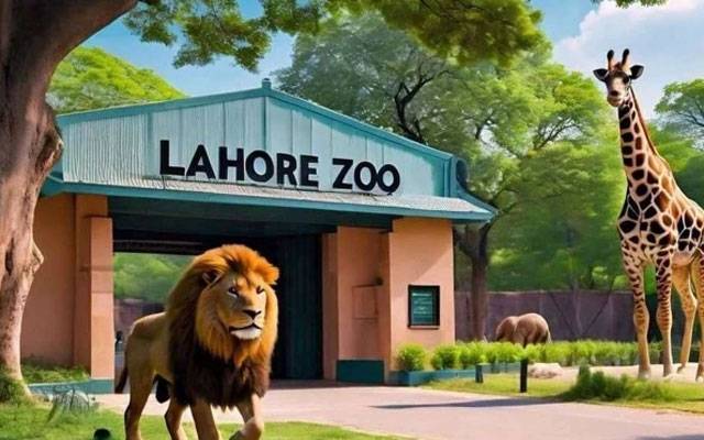 شدید گرمی کی لہر ؛ لاہور زو میں جانور و پرندے مرنے لگے