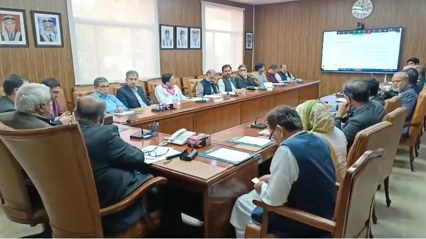 پنجاب میں ہر صورت ریفرل سسٹم پر کام کرنا ہو گا؛صحت کا موجودہ بجٹ بڑھانا پڑے گا، سلمان رفیق 