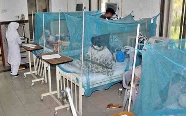 ملیریا  کے 16 ہزار 700 سے زائد کیسز رپورٹ،خطرے کی گھنٹی بج گئی  
