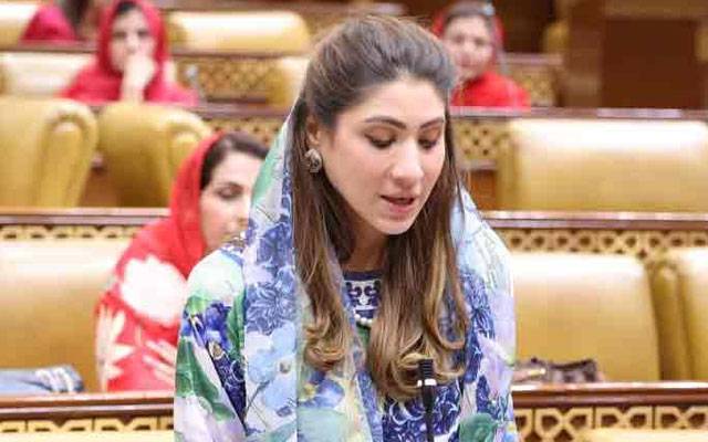 پنجاب ایسڈ کنٹرول بل 2025 قائمہ کمیٹی میں منظور