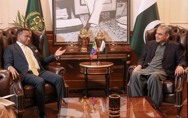 محسن نقوی سے پاکستان میں ایتھوپیا کے سفیر کی ملاقات، دوطرفہ تعلقات پر تبادلہ خیال 