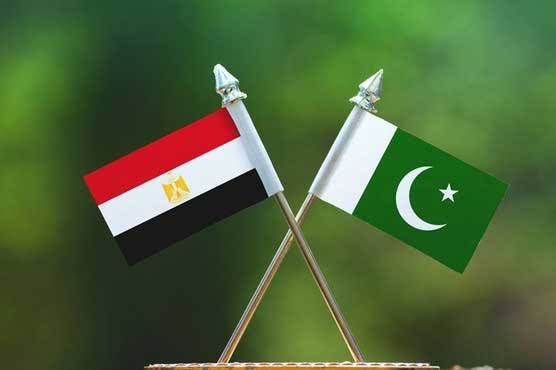 پاکستان اور مصر کا شعبہ صحت میں تعاون پر اتفاق