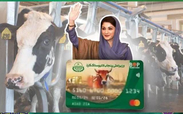  پنجاب حکومت نے سینکڑوں خواتین میں مفت گائیں ، بھینسیں تقسیم   کردیں 