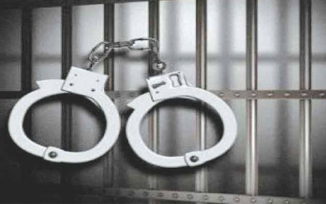 سرکاری گاڑی کا استعمال، سوشل میڈیا پر وڈیو وائرل کرنیوالے ڈان ساتھی سمیت گرفتار