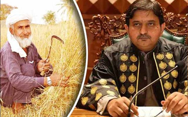 گندم 2250سے 2350پچاس روپے فی من فروخت ہورہی ہے؛سپیکر پنجاب اسمبلی 