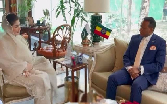 مریم نواز سے ایتھوپیا کے سفیر کی ملاقات، باہمی دلچسپی کے امور پر تبادلہ خیال