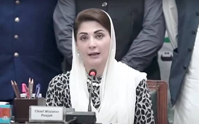 ملیریا کا خاتمہ اور صحت مند معاشرہ پنجاب حکومت کی ترجیح ہے: مریم نواز