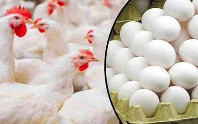 مرغی اور انڈوں کی قیمت میں مزید اضافہ 