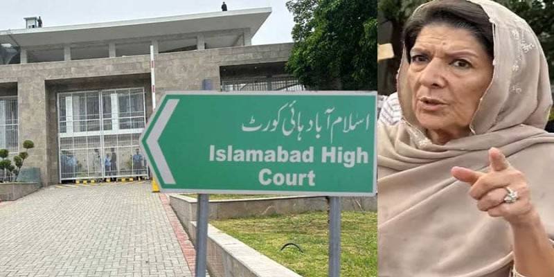 علیمہ خان کا نام سفری پابندی کی فہرست میں کیوں شامل کیا گیا؟ عدالت کا فریقین سے جواب طلب