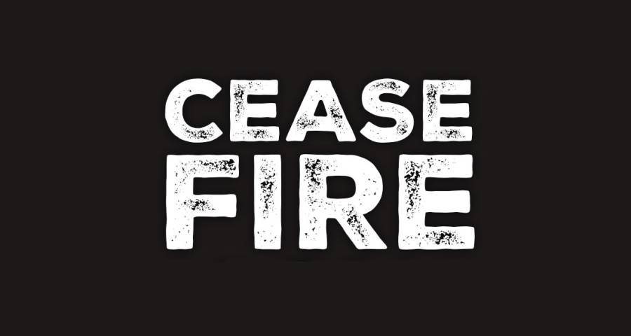 Ceasefire in Ukraine War, President Putin's ceasefire, Ukraine war 