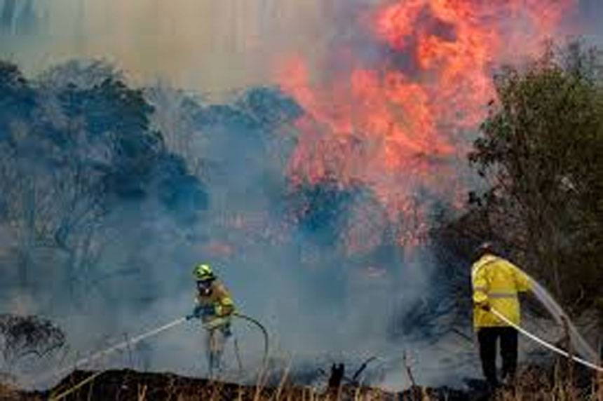 Jerusalem bushfire , Fire fighers, Strong winds spread fire in Jerusalem 