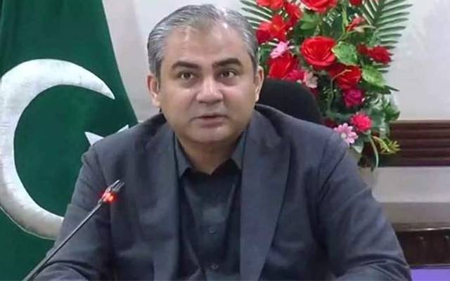  محنت کش رزق حلال کما کر معیشت کو مضبوط کرتے ہیں: محسن نقوی 