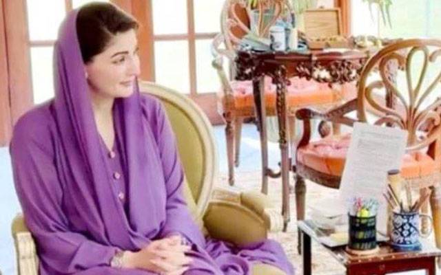 پاک نیدر لینڈ کے مابین معاشی تعاون کے فروغ کے وسیع امکانات موجود ہیں؛ مریم نواز 