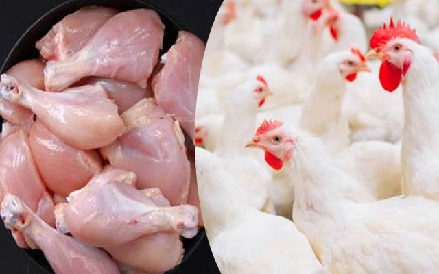 لاہور میں برائلر گوشت فی کلو کتنے کا ہوگیا؟