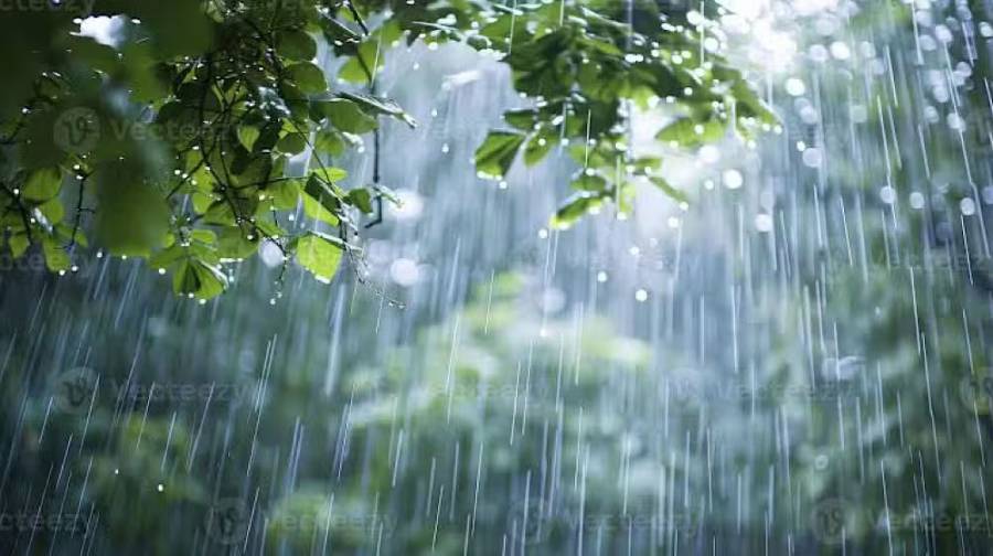 Weather update, Lahore weather, Rain forecast, thunderstorm forecast, City42 