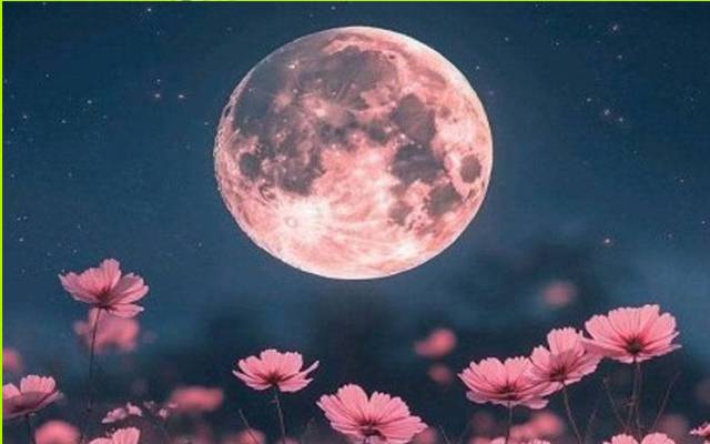 12 مئی کو پاکستان سمیت دنیا بھر میں