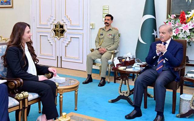 وزیراعظم سے امریکی ناظم الالمور نیتلی بیکر کی ملاقات، سیز فائر کے معاملات پر تفصیلی مشاورت