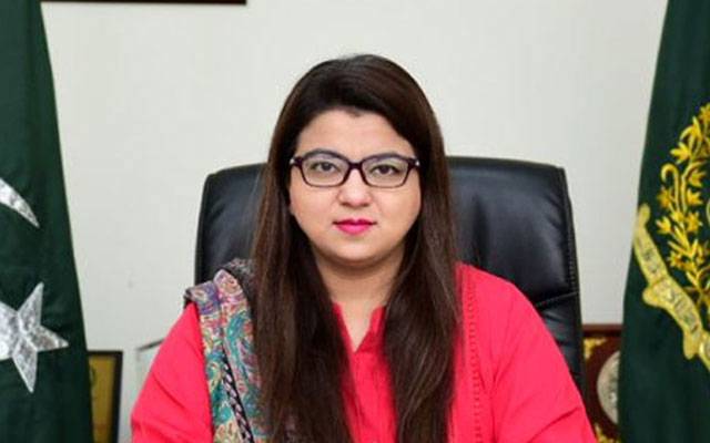 ملک میں 20ہزار 7سو 11 آئی ٹی کمپنیاں رجسٹرڈ ؛ وفاقی وزیر آئی ٹی 