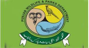 حکومت پنجاب نے مبین الٰہی کو ڈی جی وائلڈ لائف تعینات کردیا