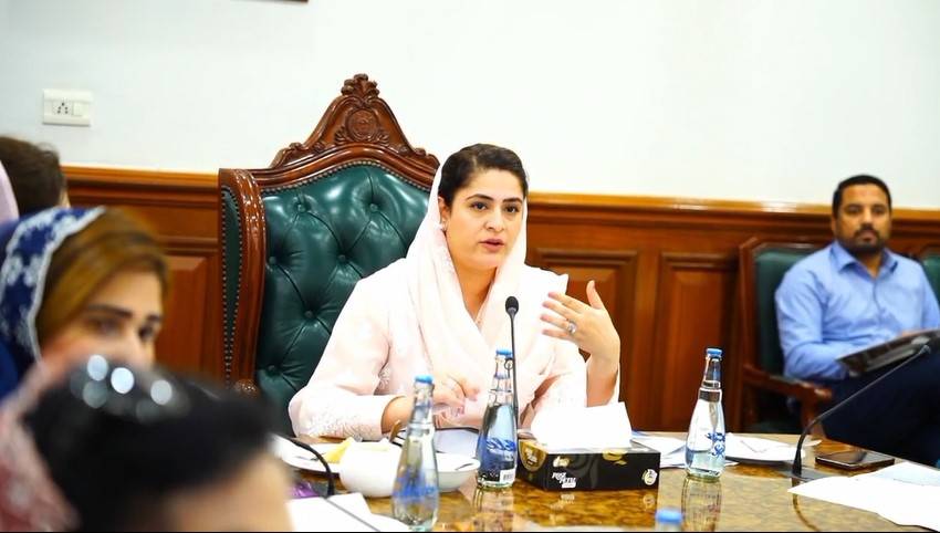  چائلڈ رائٹس کاکس کا پہلا اجلاس؛ چائلڈ پروٹیکشن نظام کو مزید موثر بنانے پر اتفاق 
