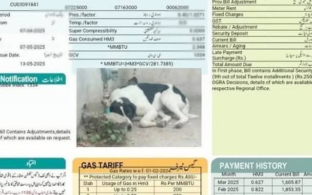 گیس کے  میٹر پر کتا باندھنے کا انجام؛ ریڈنگ کی جگہ کتے کی تصویر اور من چاہا بِل