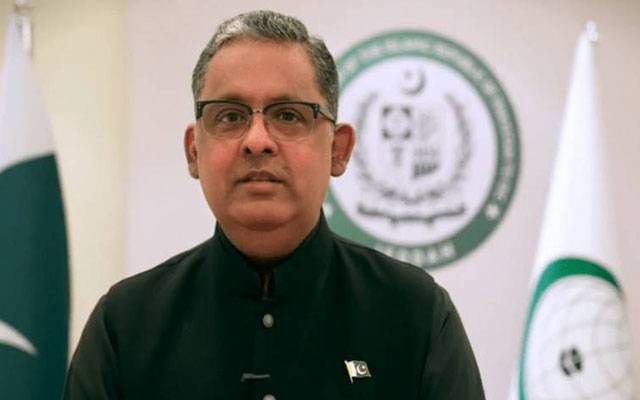 25 کروڑ کی آبادی کا پانی روکنا اعلانِ جنگ تصور کیا جائے گا: رضوان سعید شیخ