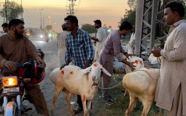 دفعہ144نظرانداز، پابندی کے باوجود غیرقانونی منڈیاں قائم 