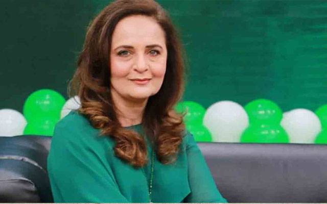 حنا بیات ائیرپورٹ کے واش رومز میں پانی کی عدم فراہمی پر سیخ پا 