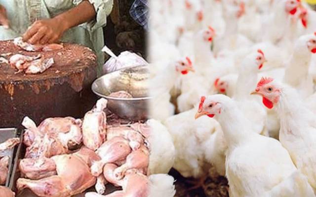 برائلر مرغی کے گوشت کی قیمت میں مزید اضافہ